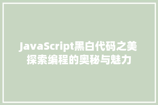 JavaScript黑白代码之美探索编程的奥秘与魅力