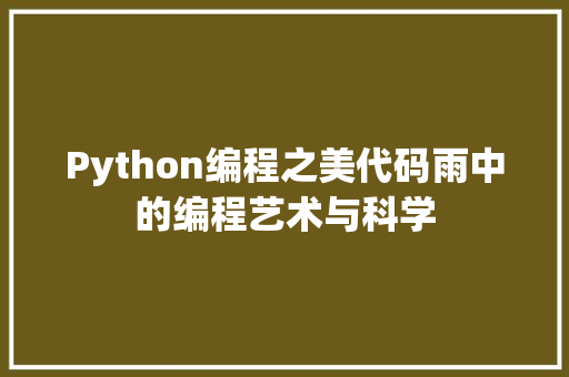 Python编程之美代码雨中的编程艺术与科学