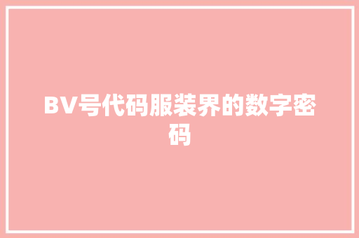 BV号代码服装界的数字密码