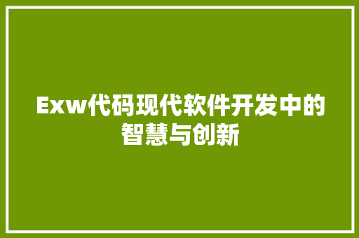 Exw代码现代软件开发中的智慧与创新