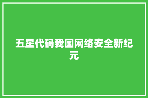 五星代码我国网络安全新纪元