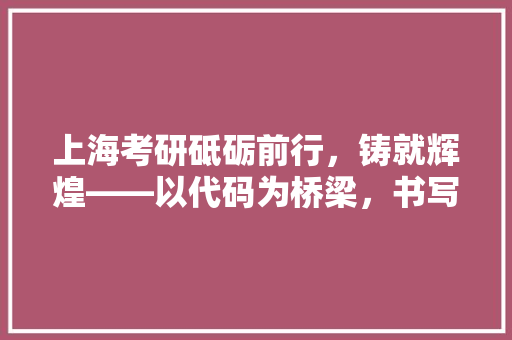 上海考研砥砺前行，铸就辉煌——以代码为桥梁，书写未来篇章