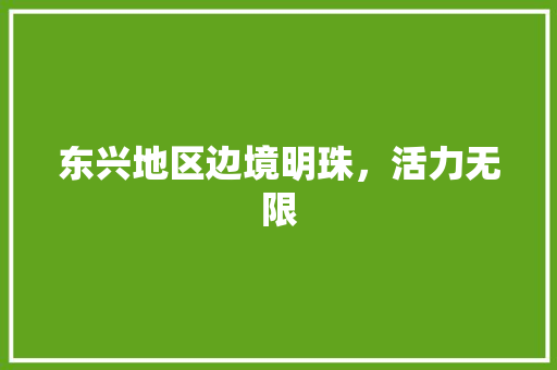 东兴地区边境明珠，活力无限