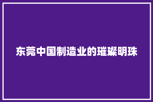 东莞中国制造业的璀璨明珠