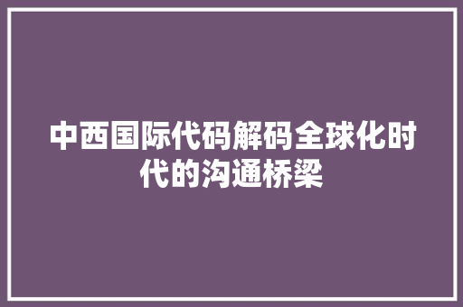 中西国际代码解码全球化时代的沟通桥梁