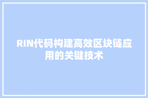 RIN代码构建高效区块链应用的关键技术