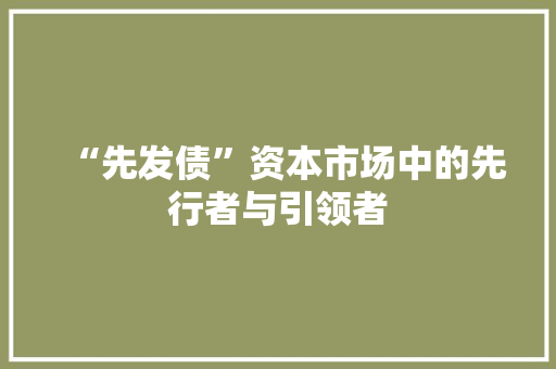 “先发债”资本市场中的先行者与引领者