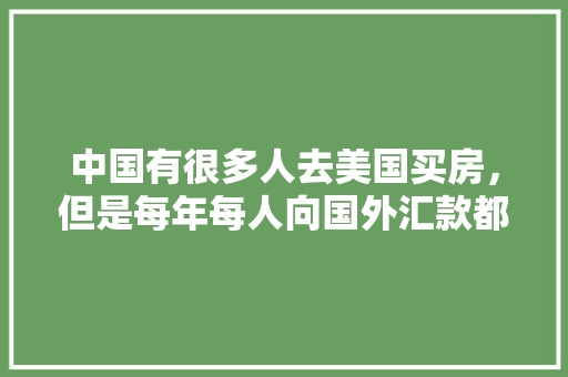 7361代码揭开科技变革的神秘面纱