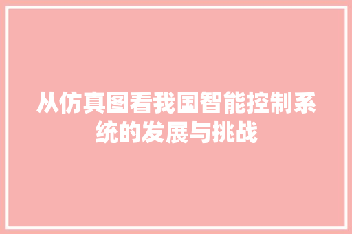 从仿真图看我国智能控制系统的发展与挑战