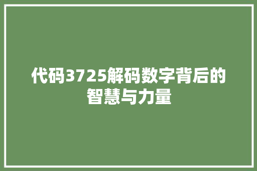代码3725解码数字背后的智慧与力量