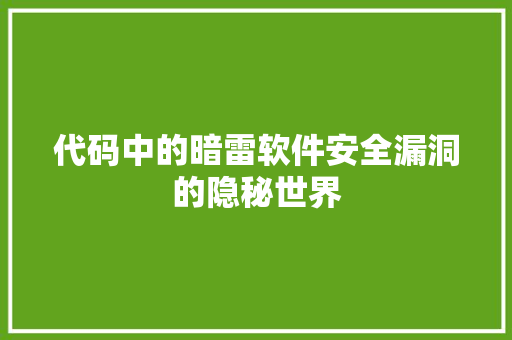 代码中的暗雷软件安全漏洞的隐秘世界