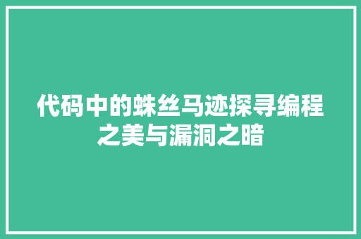 代码中的蛛丝马迹探寻编程之美与漏洞之暗