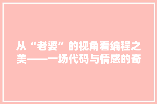从“老婆”的视角看编程之美——一场代码与情感的奇妙邂逅  第1张