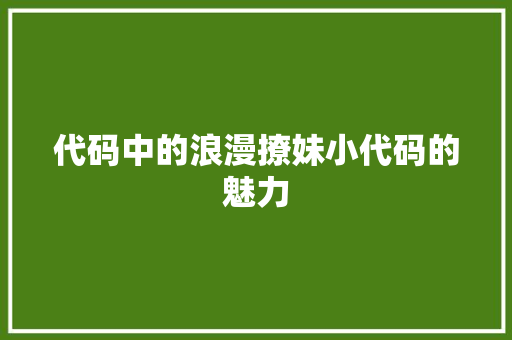 代码中的浪漫撩妹小代码的魅力