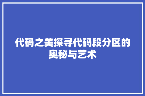 代码之美探寻代码段分区的奥秘与艺术