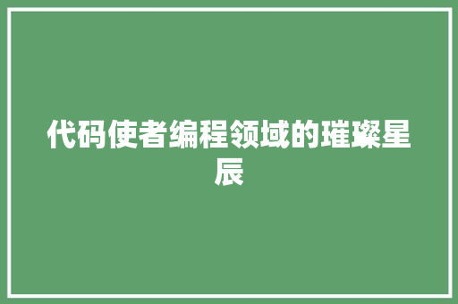代码使者编程领域的璀璨星辰