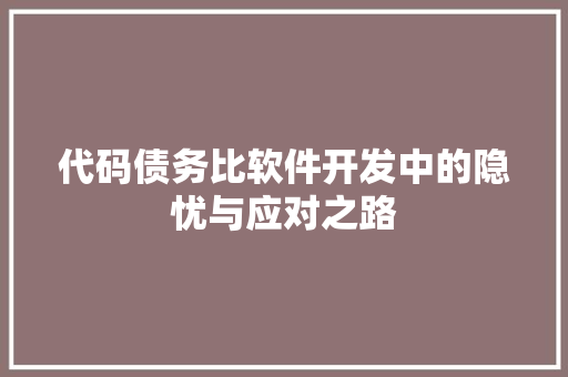 代码债务比软件开发中的隐忧与应对之路