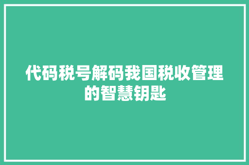 代码税号解码我国税收管理的智慧钥匙