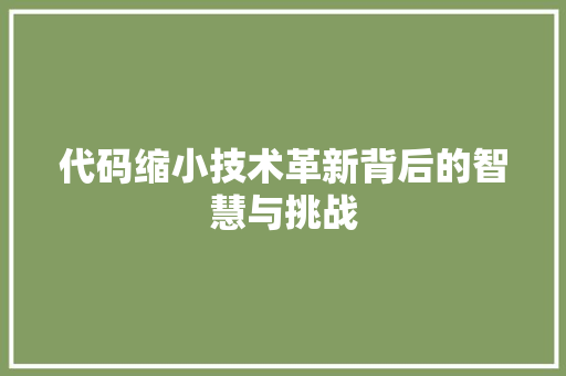 代码缩小技术革新背后的智慧与挑战