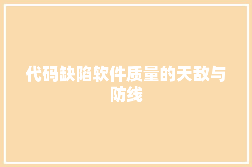 代码缺陷软件质量的天敌与防线
