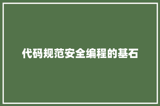 代码规范安全编程的基石