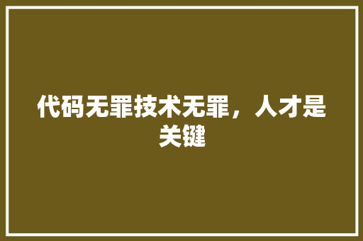 代码无罪技术无罪，人才是关键