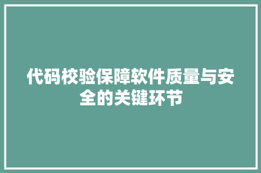 代码校验保障软件质量与安全的关键环节