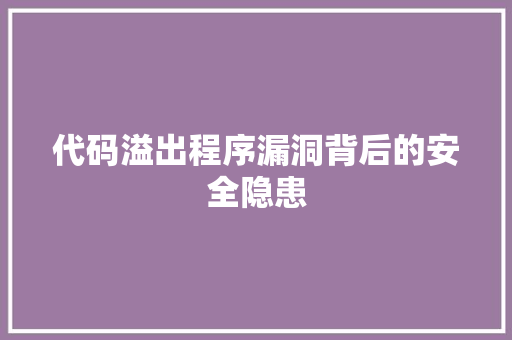 代码溢出程序漏洞背后的安全隐患