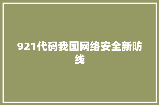 921代码我国网络安全新防线