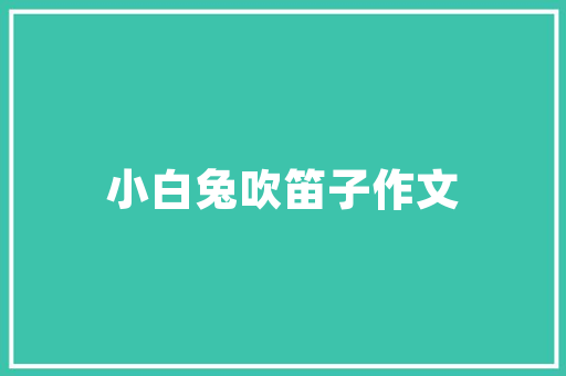 会计代码在公司财务管理中的重要作用及优化步骤