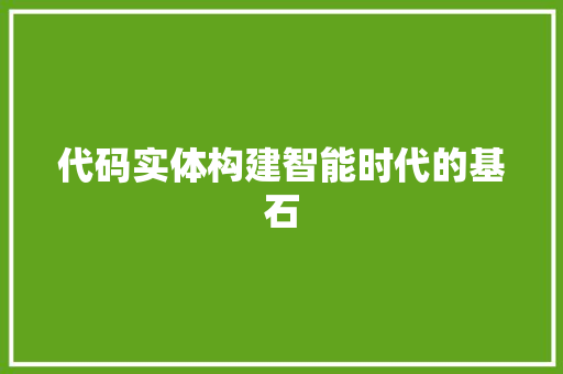 代码实体构建智能时代的基石