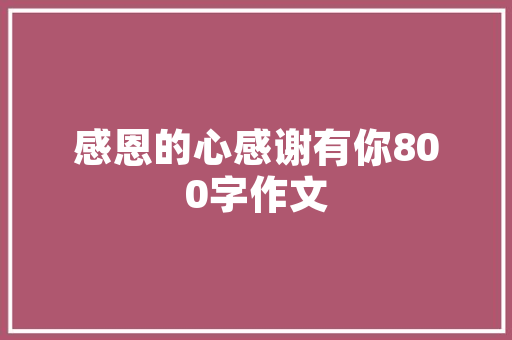 像素前代码数字时代下的编程奥秘