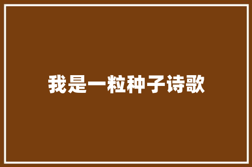 元组现代编程中的基石与未来展望