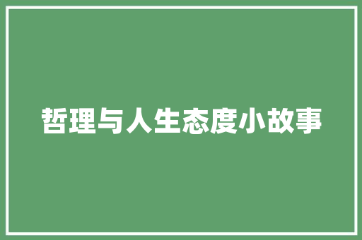 先锋赛车科技与速度的完美融合