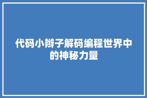 代码小辫子解码编程世界中的神秘力量
