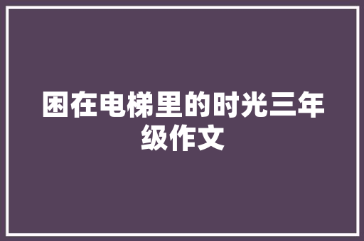 代码飞马引领未来科技发展的新引擎