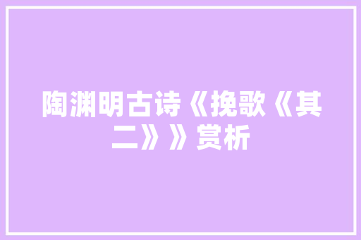 企业代码在现代企业发展中的关键作用与未来趋势