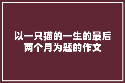分手QQ代码网络时代的情感裂痕与自我救赎