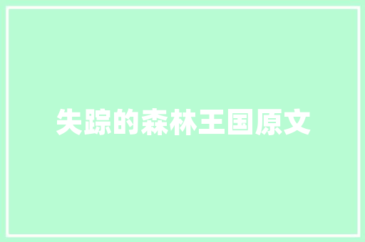 A11代码探索人工智能的奥秘