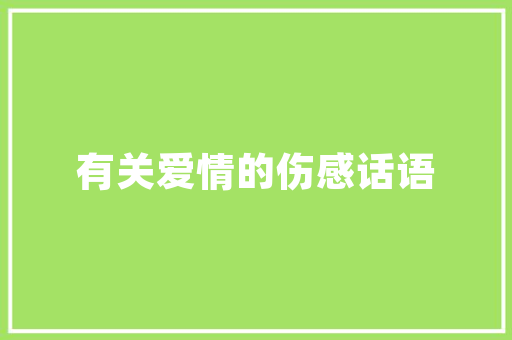 AS代码行数统计工具提升编程效率的秘密武器