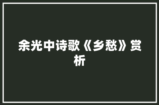 公益平台构建爱心桥梁，助力社会和谐发展