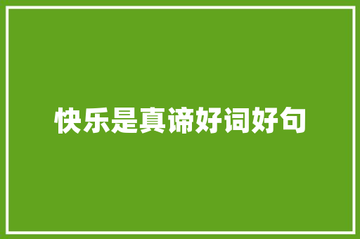写实代码的力量构建数字世界的基石