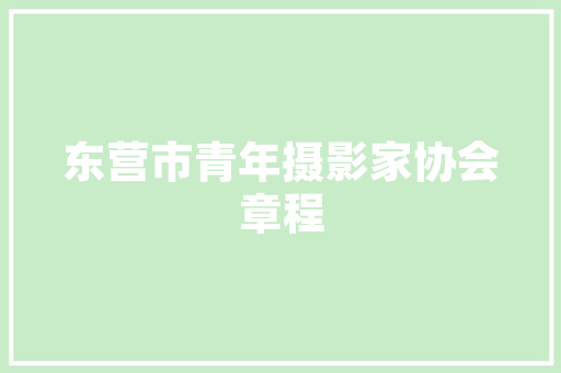 IDEA代码行数软件开发的量度与艺术