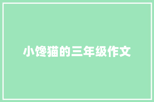 IP代码数字时代的智慧钥匙