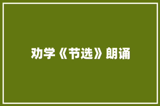 IT工程师代码的艺术构建数字世界的基石