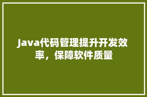 Java代码管理提升开发效率，保障软件质量