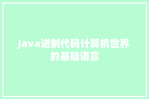Java进制代码计算机世界的基础语言