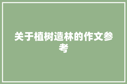 C语言编程之美格式化代码的艺术与方法