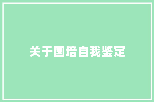 Eclipse代码行数背后的奥秘编程艺术与效率的较量