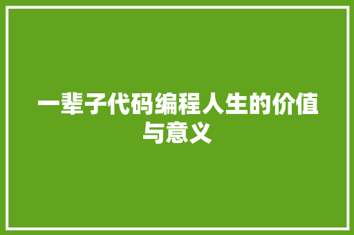 一辈子代码编程人生的价值与意义